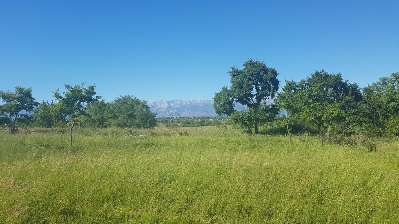 Savrsen Odmor U Villa Ivona Zadar Ngoại thất bức ảnh
